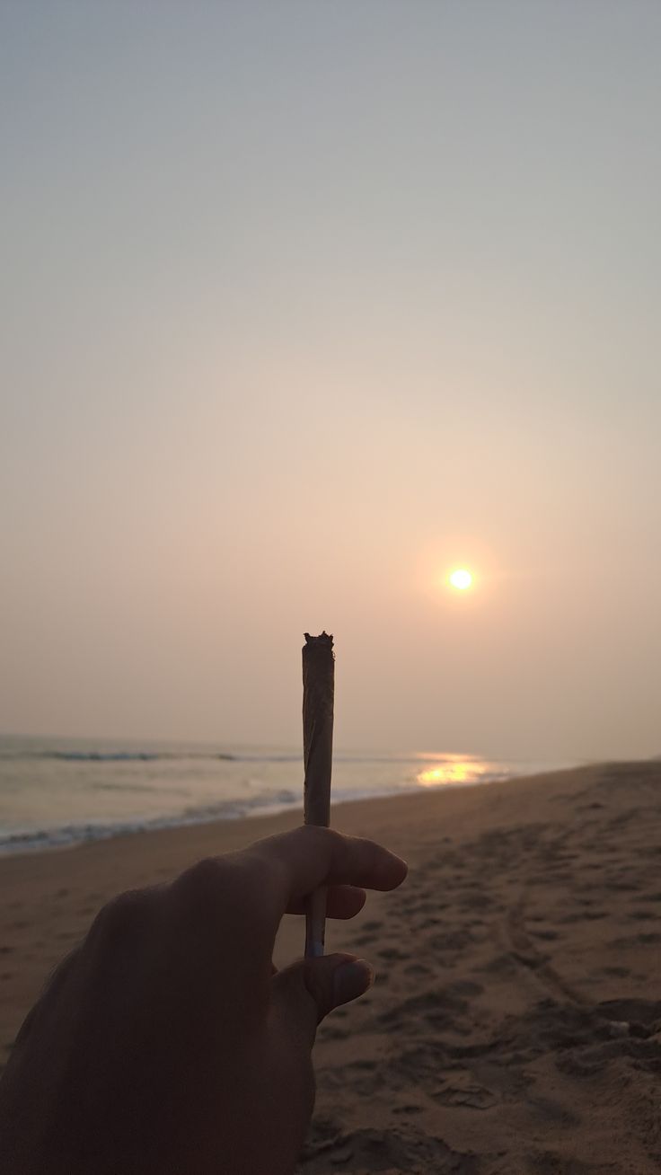 Marijuana in Greece — Quality and Strains